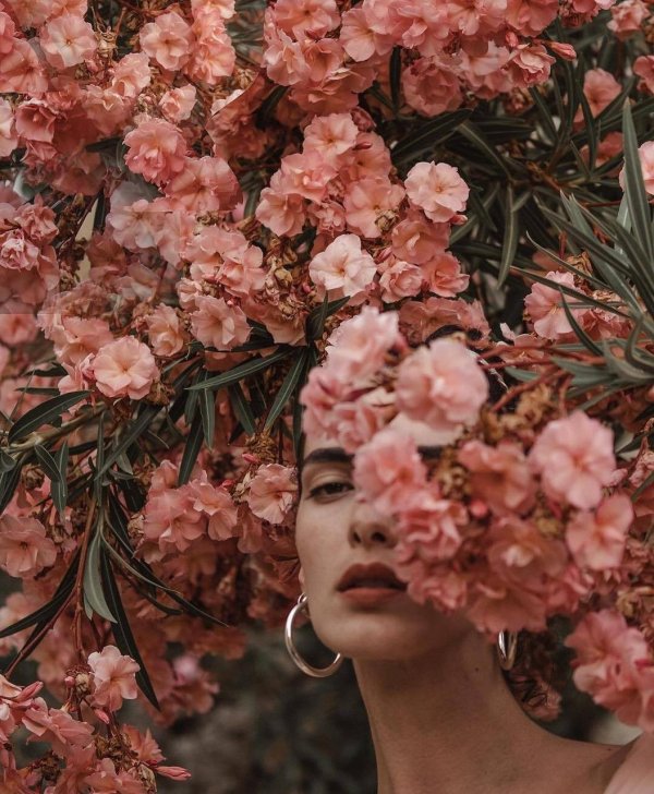 эстетика 2000 х