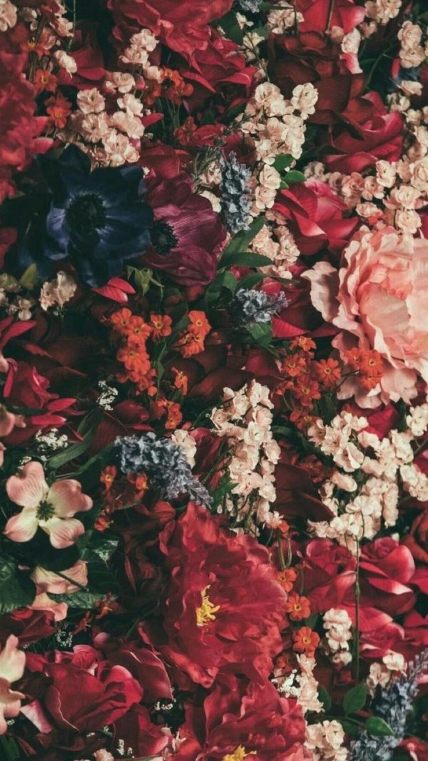 цветочные фоны