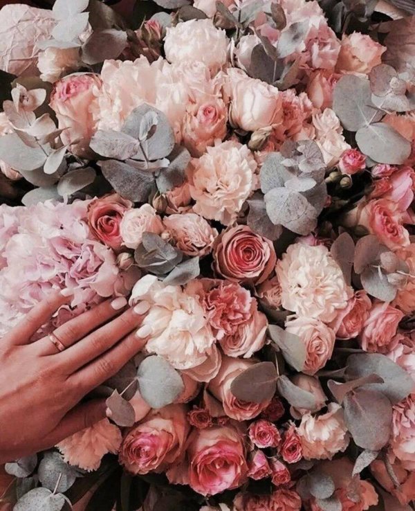 цветы эстетика с пинтереста