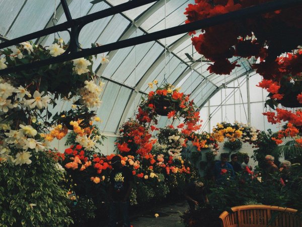 ботанические сады