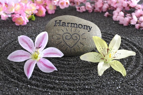 harmony love