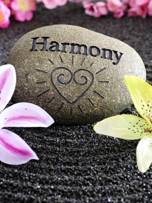 день гармонии