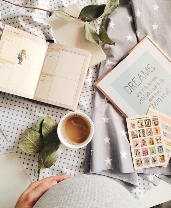 альбом беременной