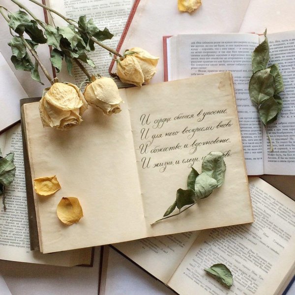 красивое оформление книги