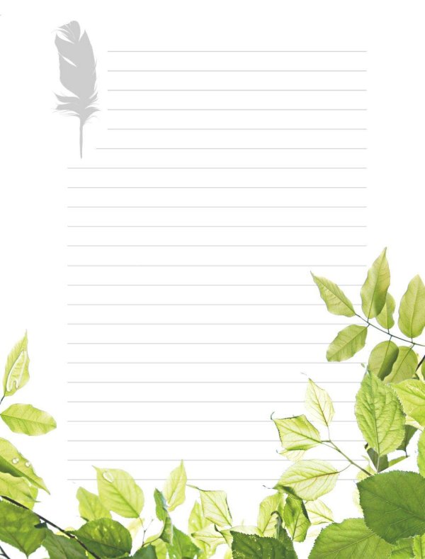 красивый листок