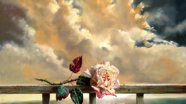 роза картина