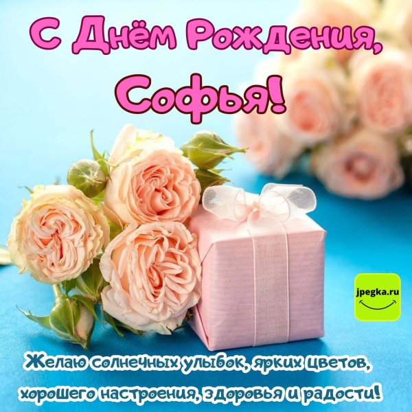 с днем рождения софии