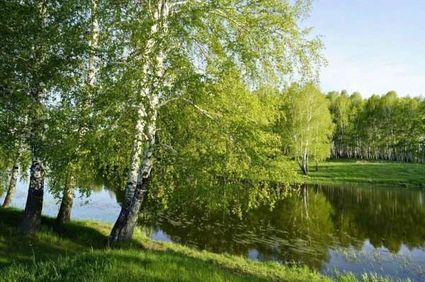 озеро березки самара