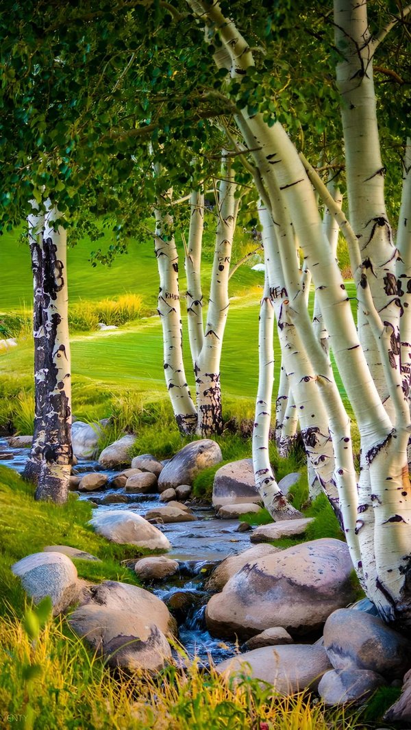 красота русской природы