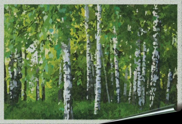 березовый лес