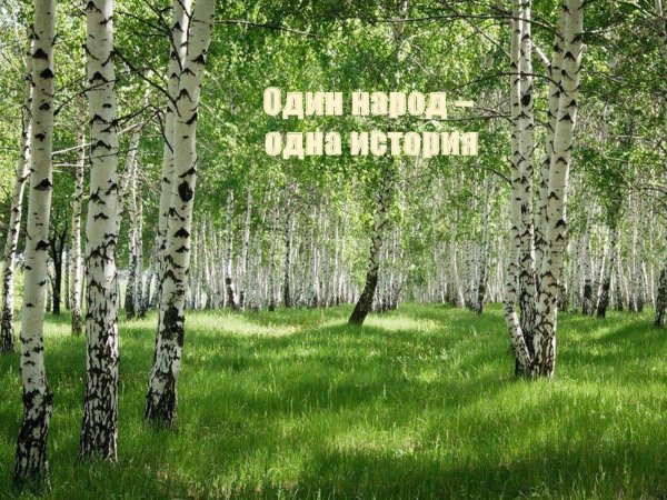 березовый лес