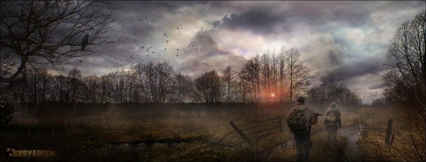 зона сталкер