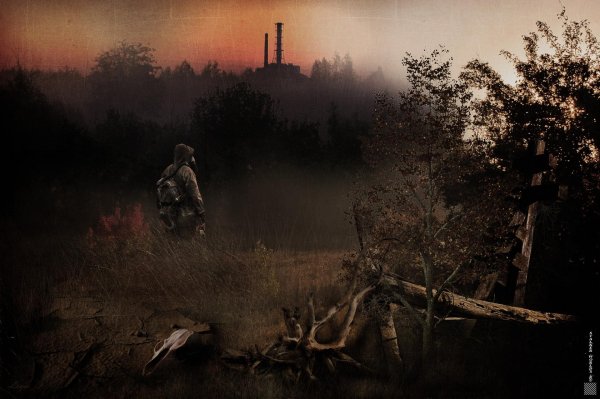 зона сталкер