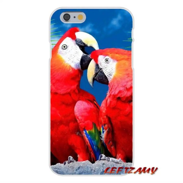 яркие попугаи