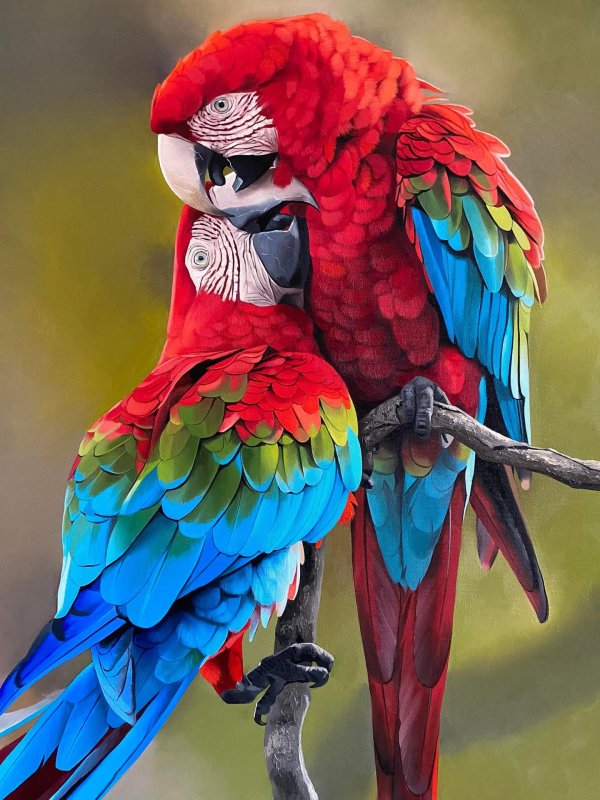 экзотические попугаи