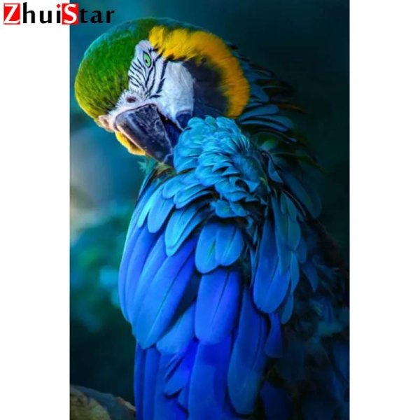 попугаи ара