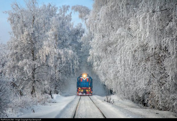 поезда зимой