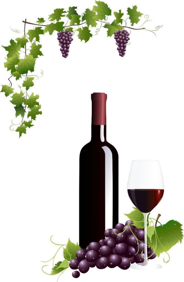 бутылка вина на прозрачном фоне