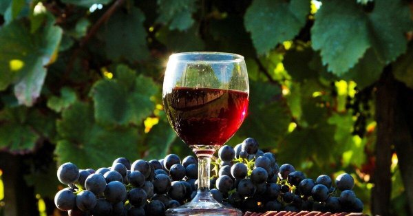 вино из винограда