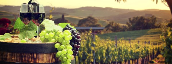 винодельня армения вайн