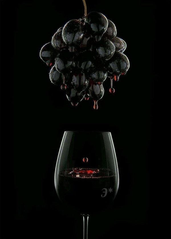 эстетика вина