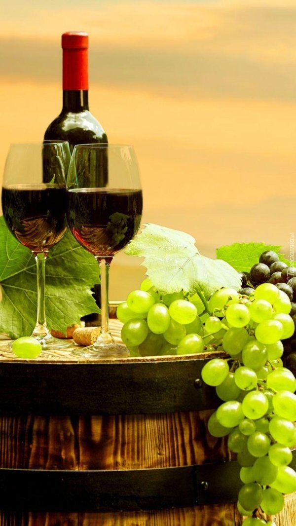 винодельни тосканы