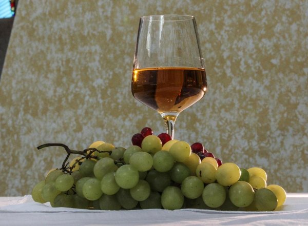 шардоне виноград