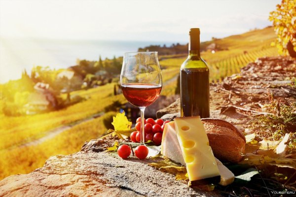 винно гастрономический тур