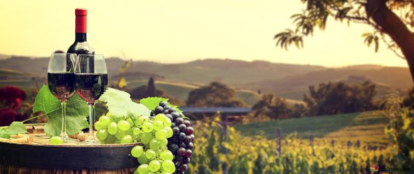 винодельня армения вайн