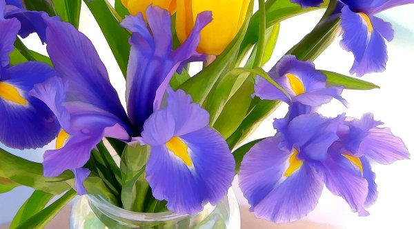 букет синих ирисов