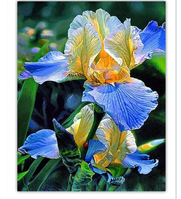 картины с ирисами