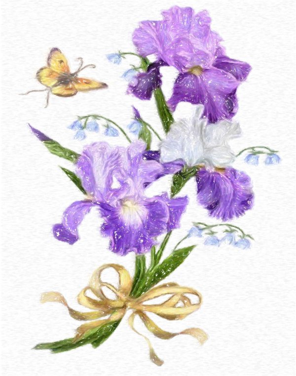 открытка с ирисами