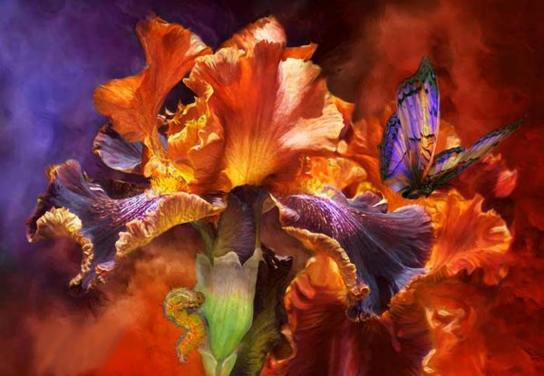 кэрол каваларис