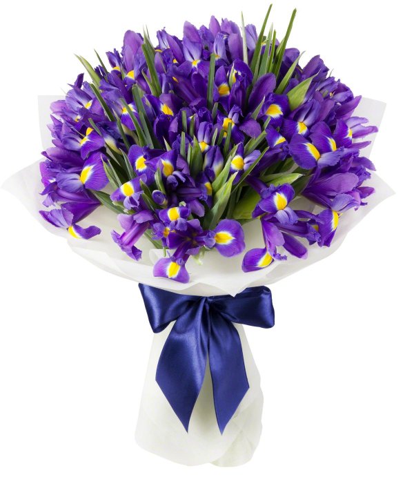 ирисы букет