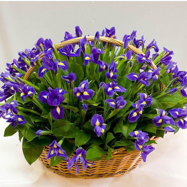 корзина из ирисов