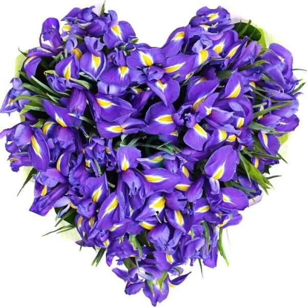 букет ирисы сверху