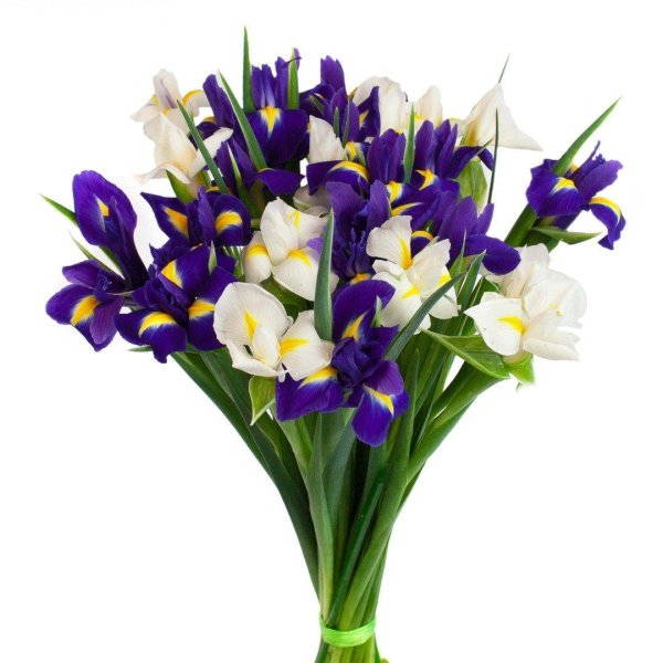 ирисы букет