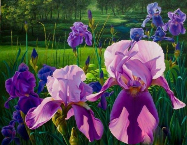 картины с ирисами