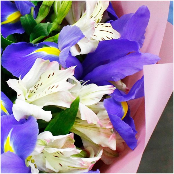 букет из ирисов и альстромерий