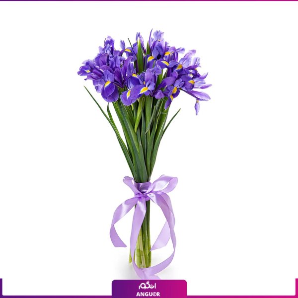 букет из ириса