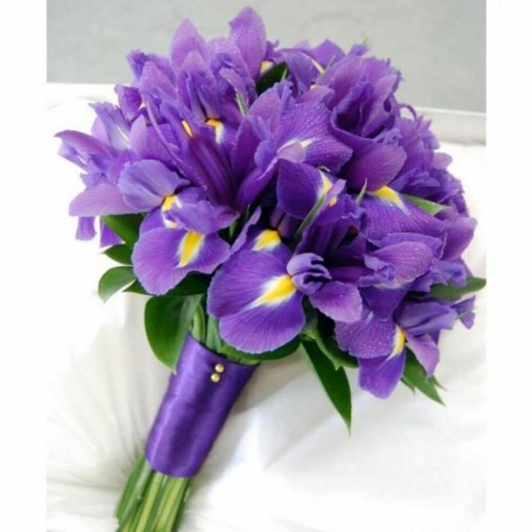 букет невесты с ирисами