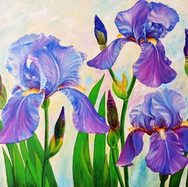 ирисы художница marianne broome