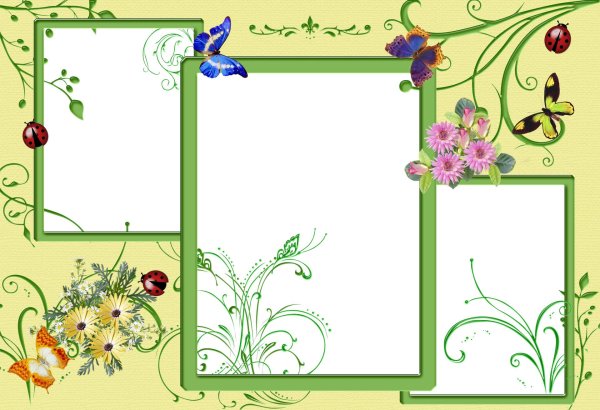 красивые рамки для проекта