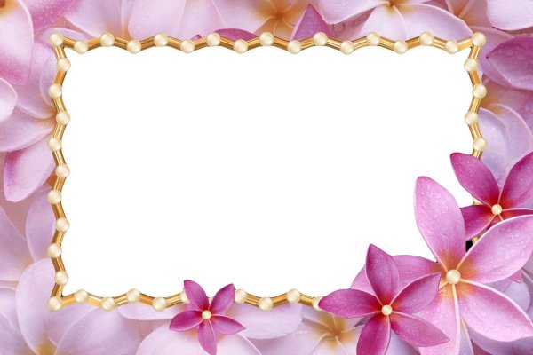 красивые рамки для фотографий