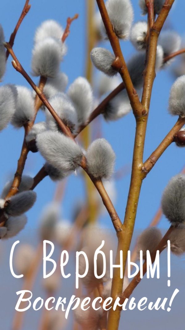 вербное воскресение