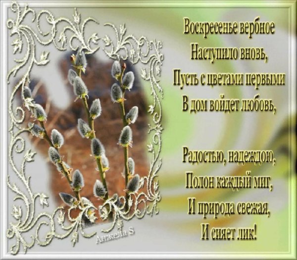 открытка с вербным воскресеньем