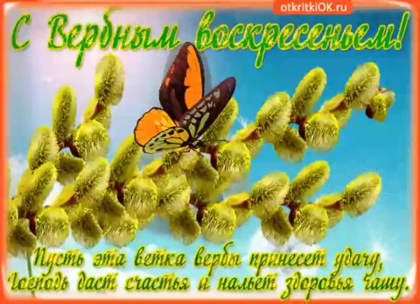 поздравить с вербным воскресеньем