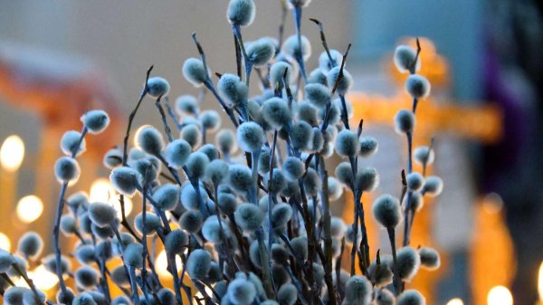 вербное воскресение