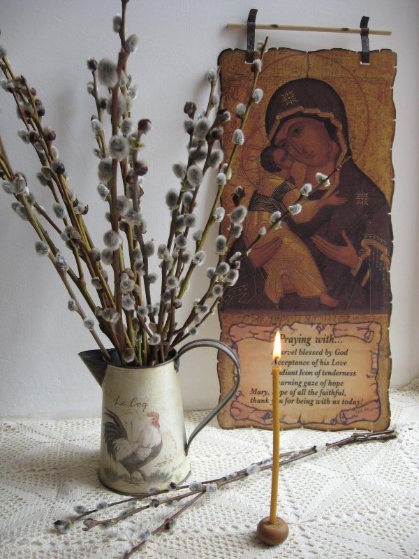 ветка вербы