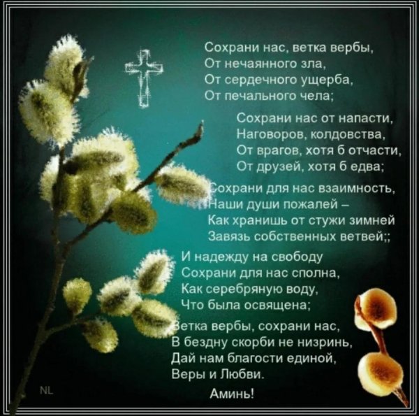 сохрани нас ветка вербы